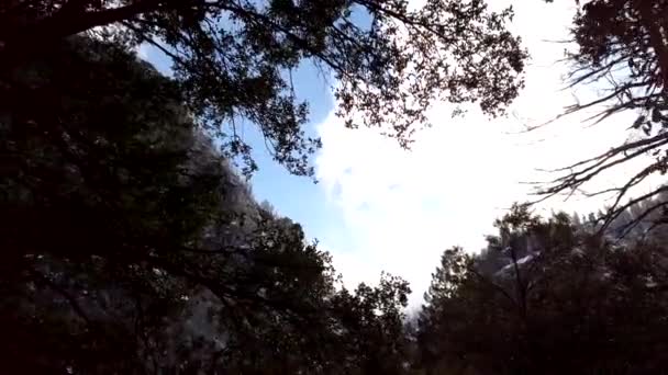 木々の中を振り返ると ヨセミテ国立公園のミストトレイルを登りながら 雪に覆われた崖の上に立ち上がりました — ストック動画