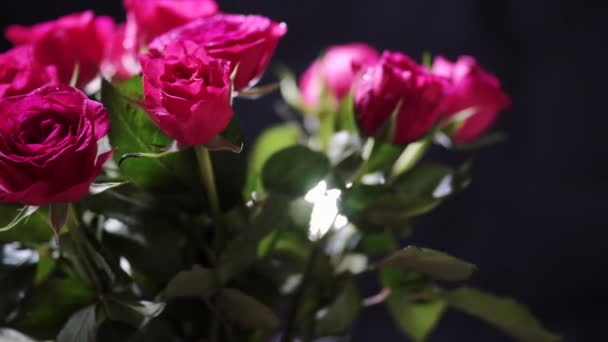 Bouquet Rotatif Roses Fleurs Avec Pétales Humides Feuilles — Video