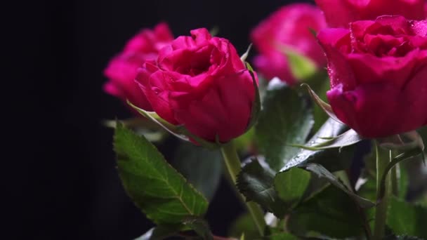 Bouquet Rotatif Roses Fleurs Avec Pétales Humides Feuilles — Video