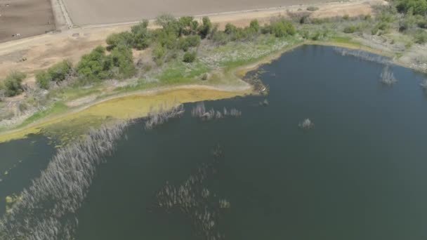 Aerial Odchylony Drone Shot Zalane Pastwiska Wsi — Wideo stockowe