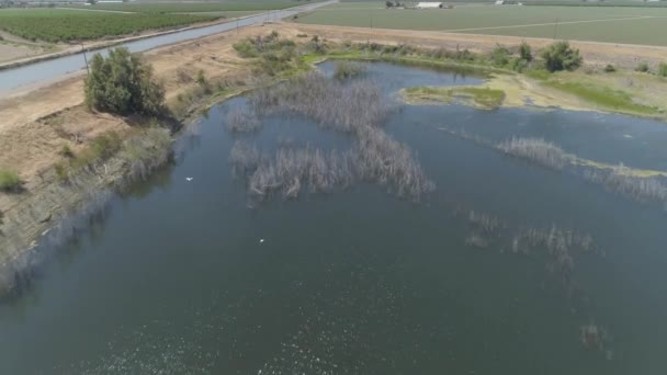 Aerial 农村被水淹的牧场 — 图库视频影像