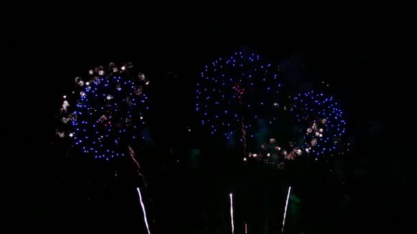 Gyönyörű Ünnep Elvont Színes Tűzijáték Kijelző Éjjel Háttér — Stock videók