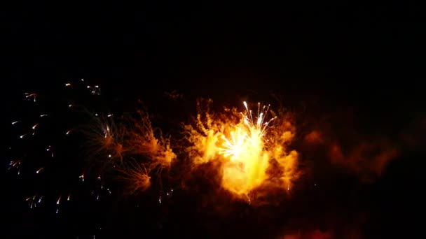 夜晚背景下美丽的庆祝活动抽象的彩色烟火展示 — 图库视频影像