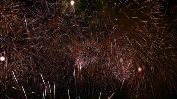 Όμορφη Γιορτή Αφηρημένη Πολύχρωμη Επίδειξη Πυροτεχνημάτων Βράδυ Φόντο — Αρχείο Βίντεο