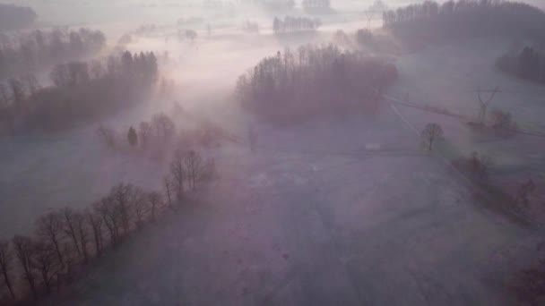 Filmagem Aérea Florestas Árvores Parque Paisagístico Baixa Silésia Polônia Movimento — Vídeo de Stock