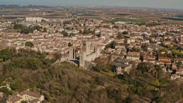Drone Disparado Sobre Castelo Scaligero Mantova Itália — Vídeo de Stock