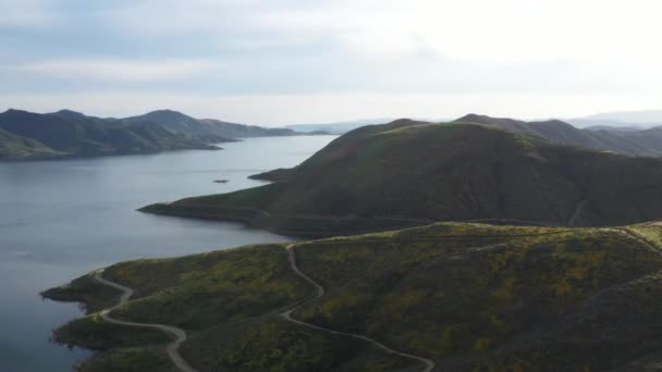 Drone Skott Vackra Vilda Blommor Täckt Berg Och Stor Sjö — Stockvideo