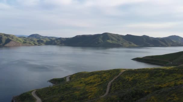 Drone Πλάνο Των Όμορφων Αγριολούλουδα Καλύπτονται Βουνό Και Μεγάλη Λίμνη — Αρχείο Βίντεο