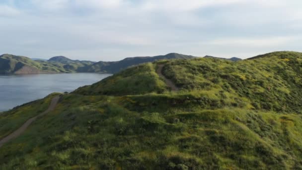 Drone Schot Vliegen Gele Wilde Bloem Bedekt Californië Bergtop Onthullen — Stockvideo