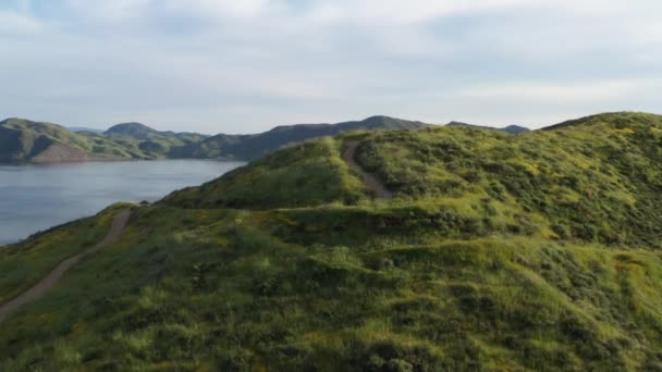 Dağın Tepesinin Sarı Kır Çiçekleri Yeşil Otlarla Kaplı Insansız Hava — Stok video