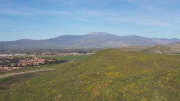 Drone Tiro Voando Sobre Montanha Coberta Flores Silvestres Durante Califórnia — Vídeo de Stock