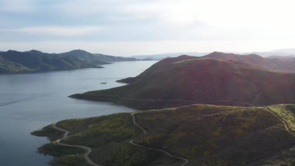 Drone Disparo Hermosa Montaña Cubierta Flores Silvestres Gran Lago Fondo — Vídeo de stock