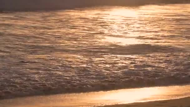 Close Moving Water Waves Hit Beach Gold Hour Evening — Stock Video