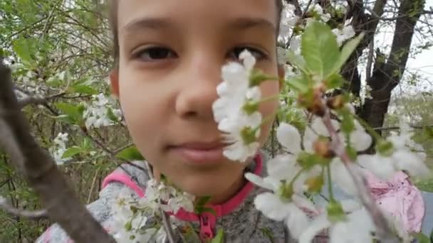 Ένα Πορτραίτο Κοριτσιού Στο Φόντο Μιας Ανθισμένης Κερασιάς — Αρχείο Βίντεο
