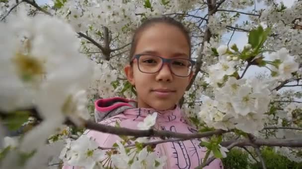 Ένα Πορτραίτο Κοριτσιού Στο Φόντο Μιας Ανθισμένης Κερασιάς — Αρχείο Βίντεο