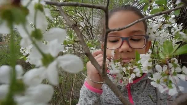 Çiçekli Bir Kiraz Ağacının Arka Planında Küçük Bir Kız Portresi — Stok video