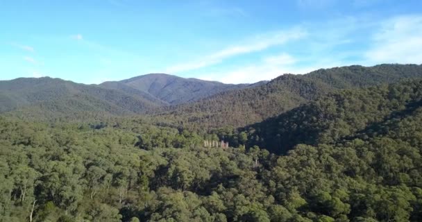 Pemandangan Panorama Lereng Bukit Australia Pemandangan Udara — Stok Video