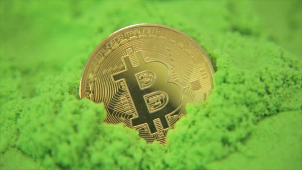 Bitcoin Mar Verde Com Reflexos Luz Agradável Vídeo Clipe Retrata — Vídeo de Stock