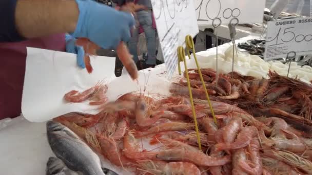 Salesman Takes Red Prawns Puts Them Paper Sheet Retailing Fish — Stock Video