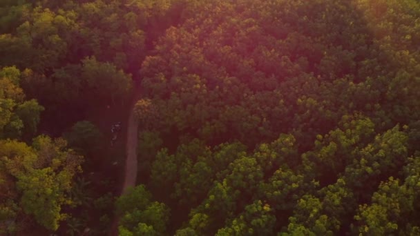 Morningview Small Island Droneshot — Vídeo de stock