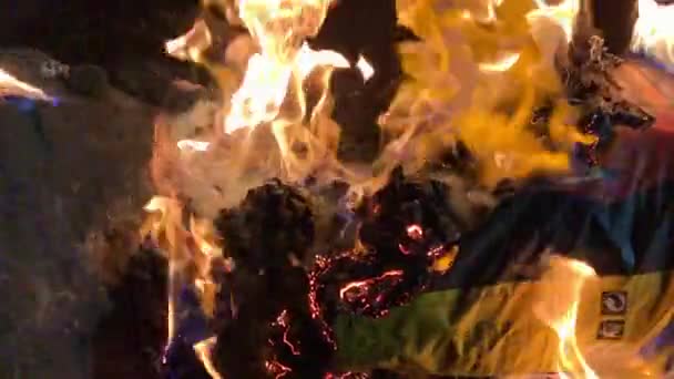 솔방울을 태우는 모닥불 — 비디오