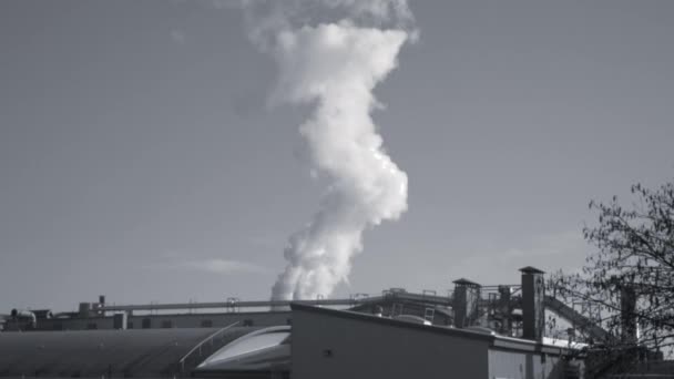 Czarno Białe Ujęcia Fabryki Przemysłowej Parą Wodną Atmosferze — Wideo stockowe