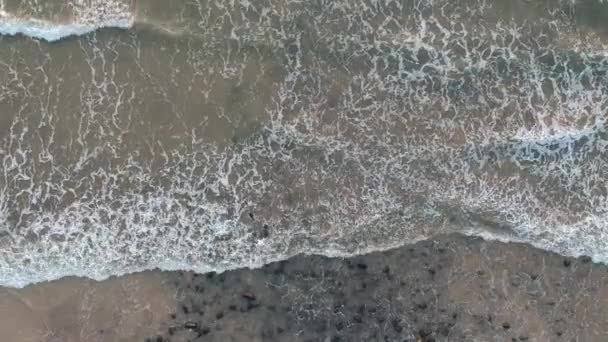 Filmagem Aérea Praia Índia Travel Chalupa Pôr Sol Chalupa Mar — Vídeo de Stock