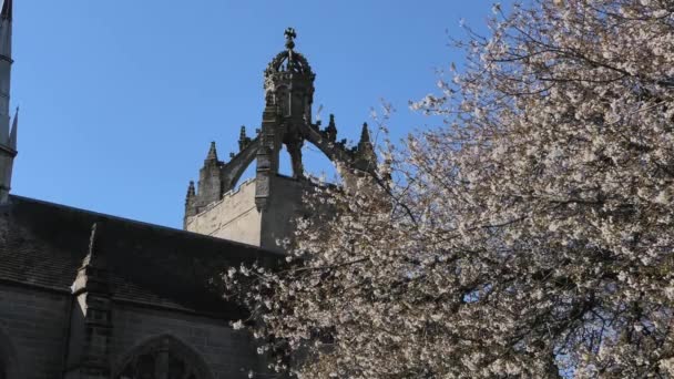 Królewska Korona Kaplicy Kwiatem Wiśni Bliska — Wideo stockowe