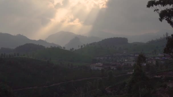 Munnar India Piantagione Verdeggiante Terreni Agricoli Verdi Colline Agricole Paesaggi — Video Stock