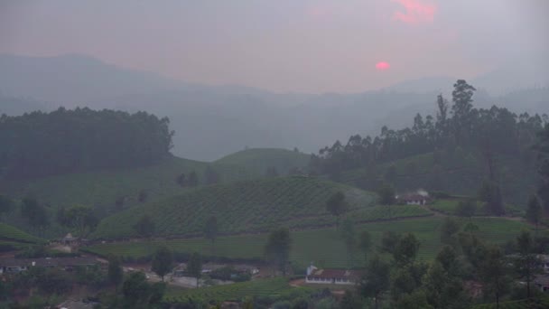 Panning Přes Munnar Indická Čajová Plantáž Bujná Zelená Zemědělská Půda — Stock video