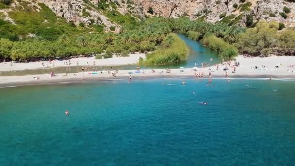 Skrytý Ráj Pohlcený Skalnatých Ramenou Rokle Palmového Lesa Setkání Preveli — Stock video