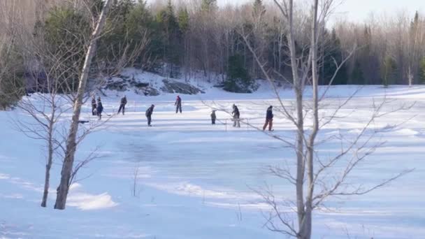 Οικογένεια Παίζει Χόκεϊ Επί Πάγου Μια Παγωμένη Λίμνη Στο Δάσος — Αρχείο Βίντεο
