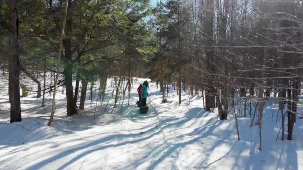 Caminatas Familiares Través Del Bosque Invierno Tirando Trineos — Vídeos de Stock