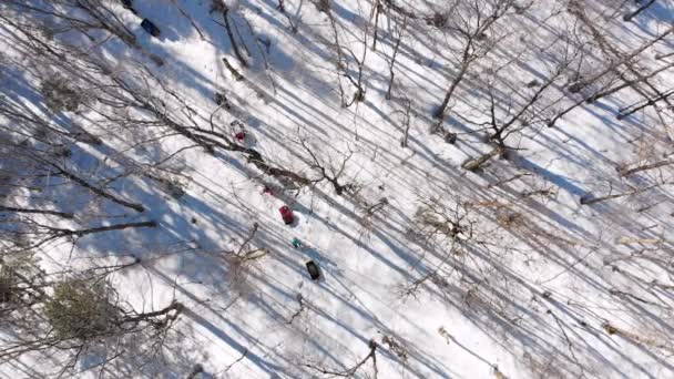 Famiglia Tirare Slitte Camminare Attraverso Una Foresta Invernale Dall Alto — Video Stock