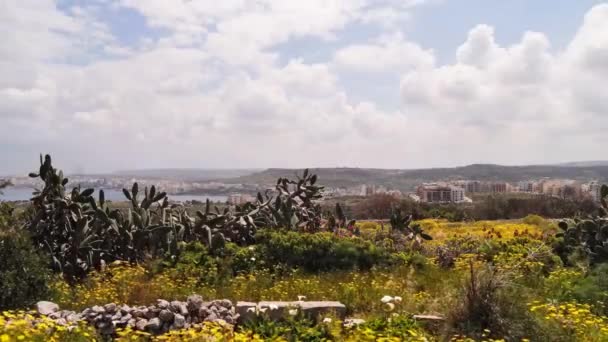 Timelapse Wideo Malty Mellieha Selmun Wiosną Wietrzny Słoneczny Dzień Patrząc — Wideo stockowe