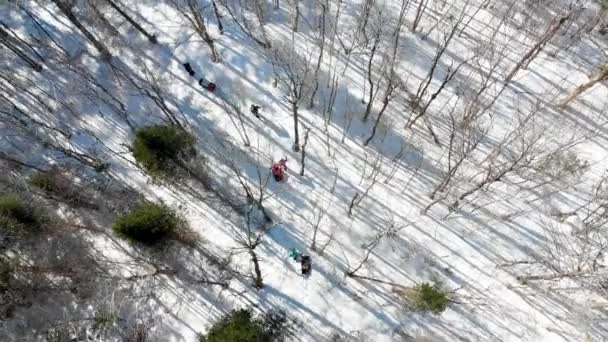 Rodzinne Sanki Ciągnąć Spacer Przez Zimowy Las Góry — Wideo stockowe