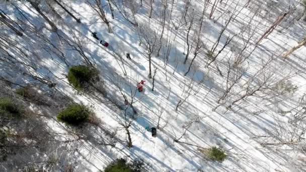 Rodzinne Sanki Ciągnąć Spacer Przez Zimowy Las Góry — Wideo stockowe