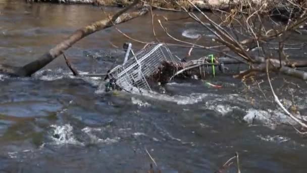 Carrelli Abbandonati Scartati Nel Fiume Leven Fife Scozia Occhio Disordine — Video Stock