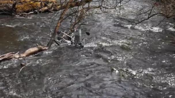 Carritos Desechados Abandonados Río Leven Fife Escocia Una Monstruosidad Desastre — Vídeo de stock