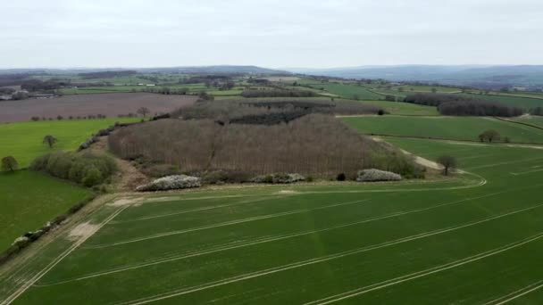 Aerial Flyover Skott Gröda Fält Och Skogar Yorkshire England Molnig — Stockvideo