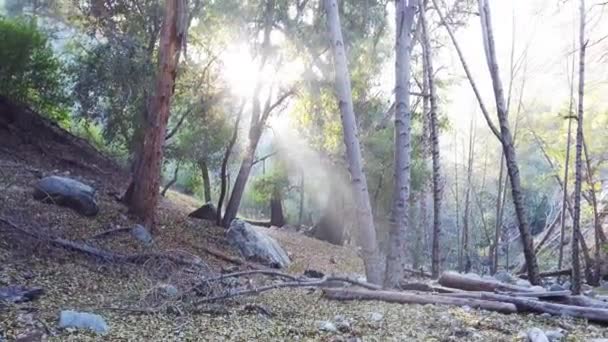 Venku Přírodě Switzer Falls San Bernardinu Jak Slunce Zapadá Celý — Stock video