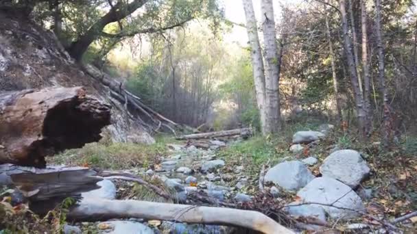 Záběry Switzer Falls Ukazující Proud Vody — Stock video