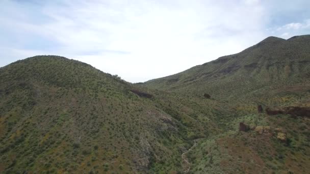 Montagne Del Deserto Aereo Sono Verdi Piene Fiori Selvatici Causa — Video Stock