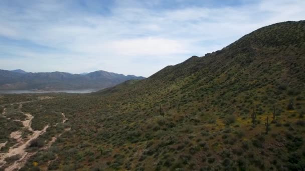 Aerial Desert Mountains Surrounding Bartlett Lake Slopes Filled Wildflowers Green — Stock Video