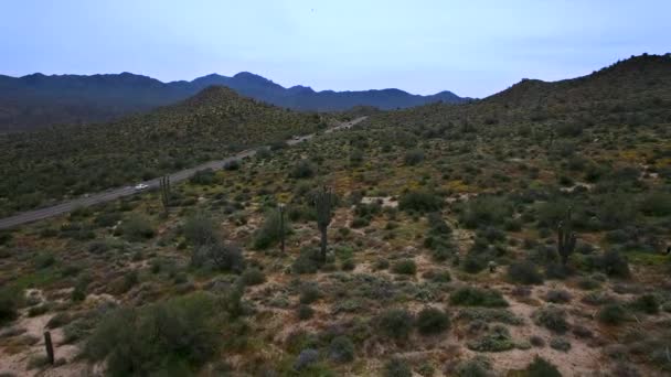 Retroceso Aéreo Solitario Camino Desértico Hacia Desierto Flores Primavera Que — Vídeos de Stock