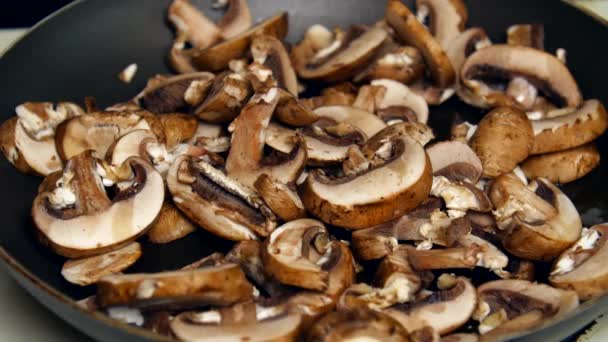 Tijdsverloop Van Champignons Die Het Fornuis Koken — Stockvideo