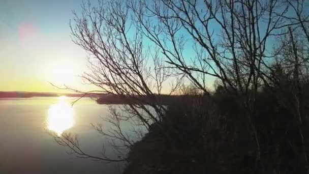 Sonnenaufgang Hinter Baum — Stockvideo