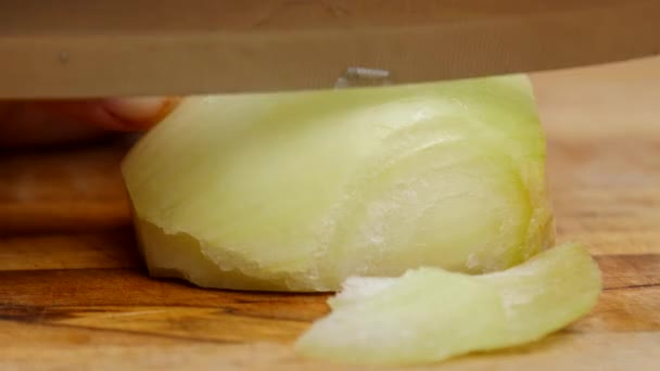 Hand Slices Onion Strips — Stock Video