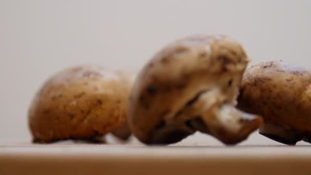 Cogumelos Uma Tábua Corte — Vídeo de Stock