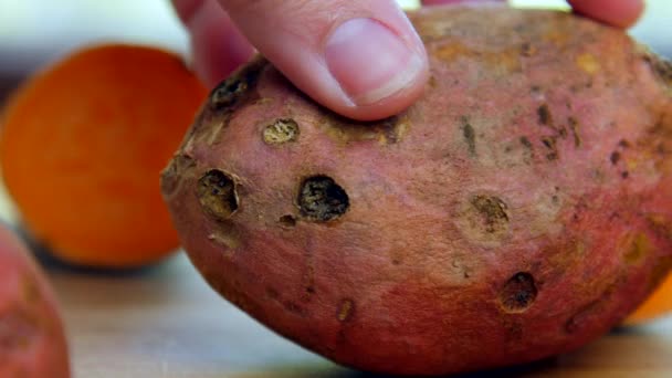 Batatas Doces Com Buracos — Vídeo de Stock